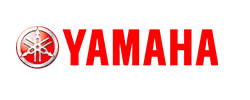 Prancheta 3